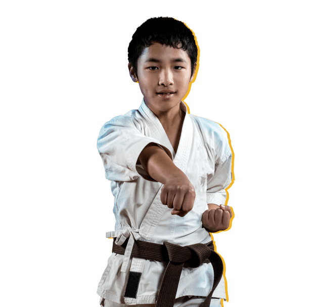 Martial Arts Karate Player