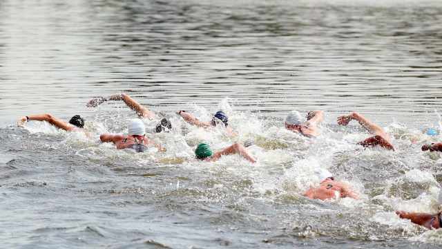 Sport Guide: Understanding Marathon Swimming 