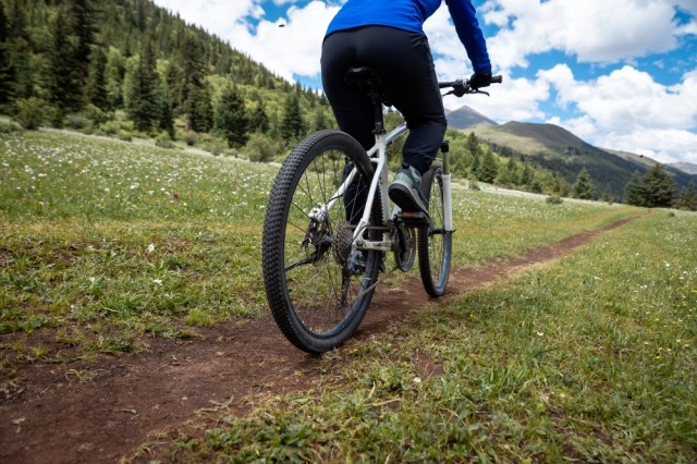 Mountain bike
